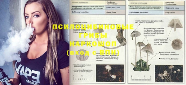 кокаин VHQ Аркадак
