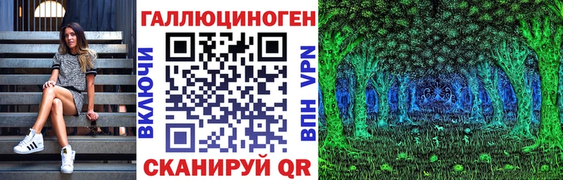 Галлюциногенные грибы Psilocybine cubensis  Купить закладки  Болотное 